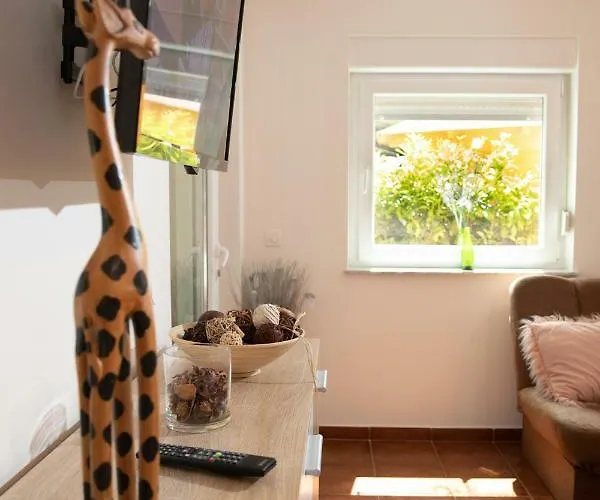 Bartol * Ρόβινι